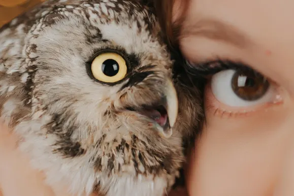 PlayFortuna Kaszinó Támogatás